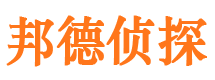 临河市场调查